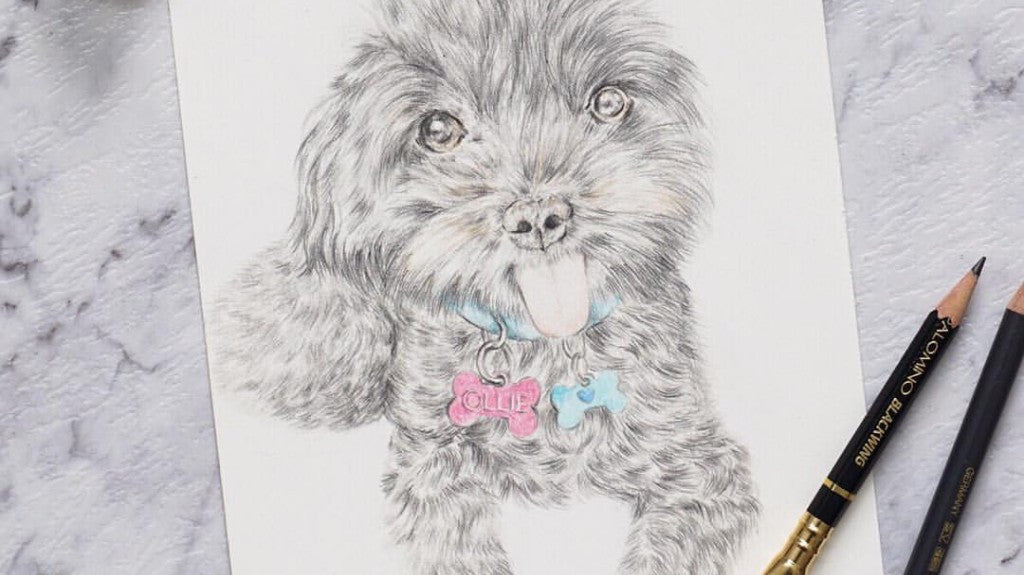 Anatomy Of A Pet Portrait