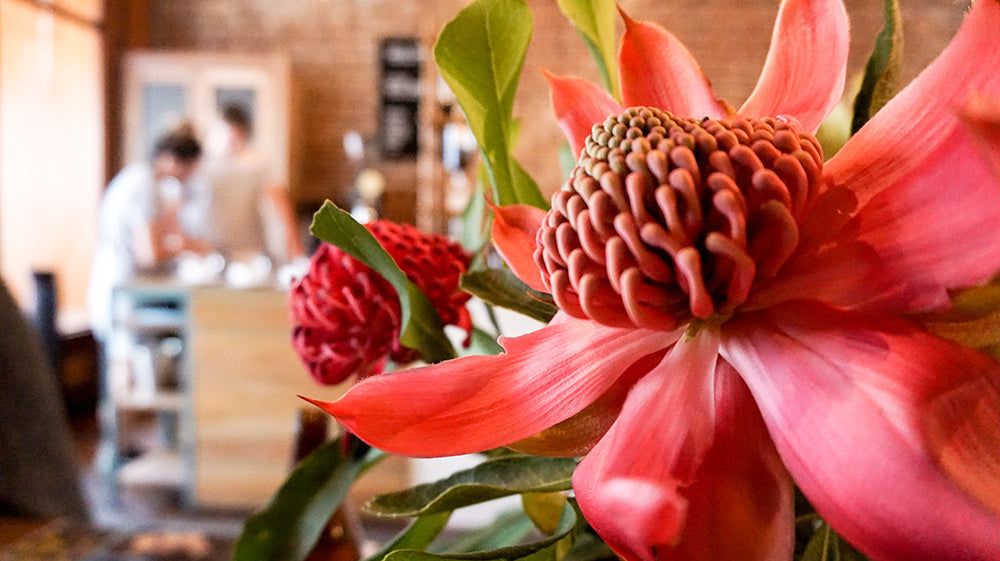 Things I Love: Little Posies