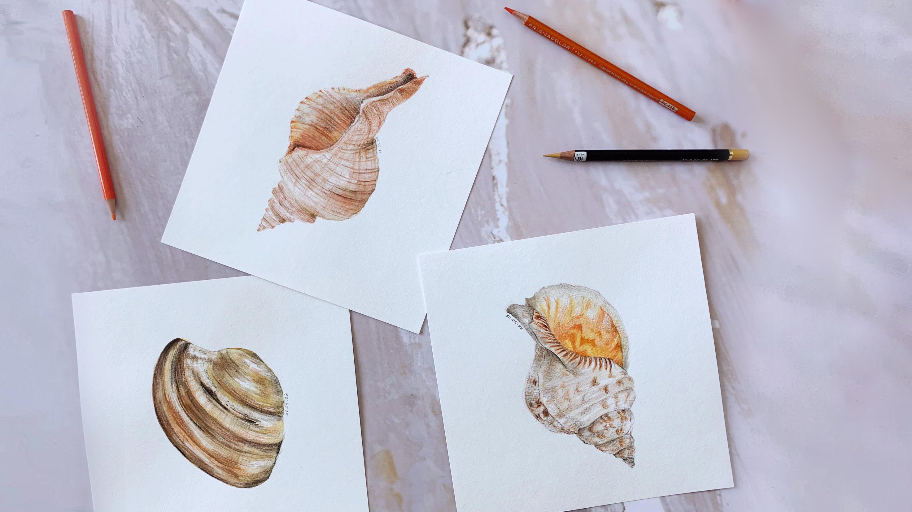 If you're fond of sand dunes and salty air