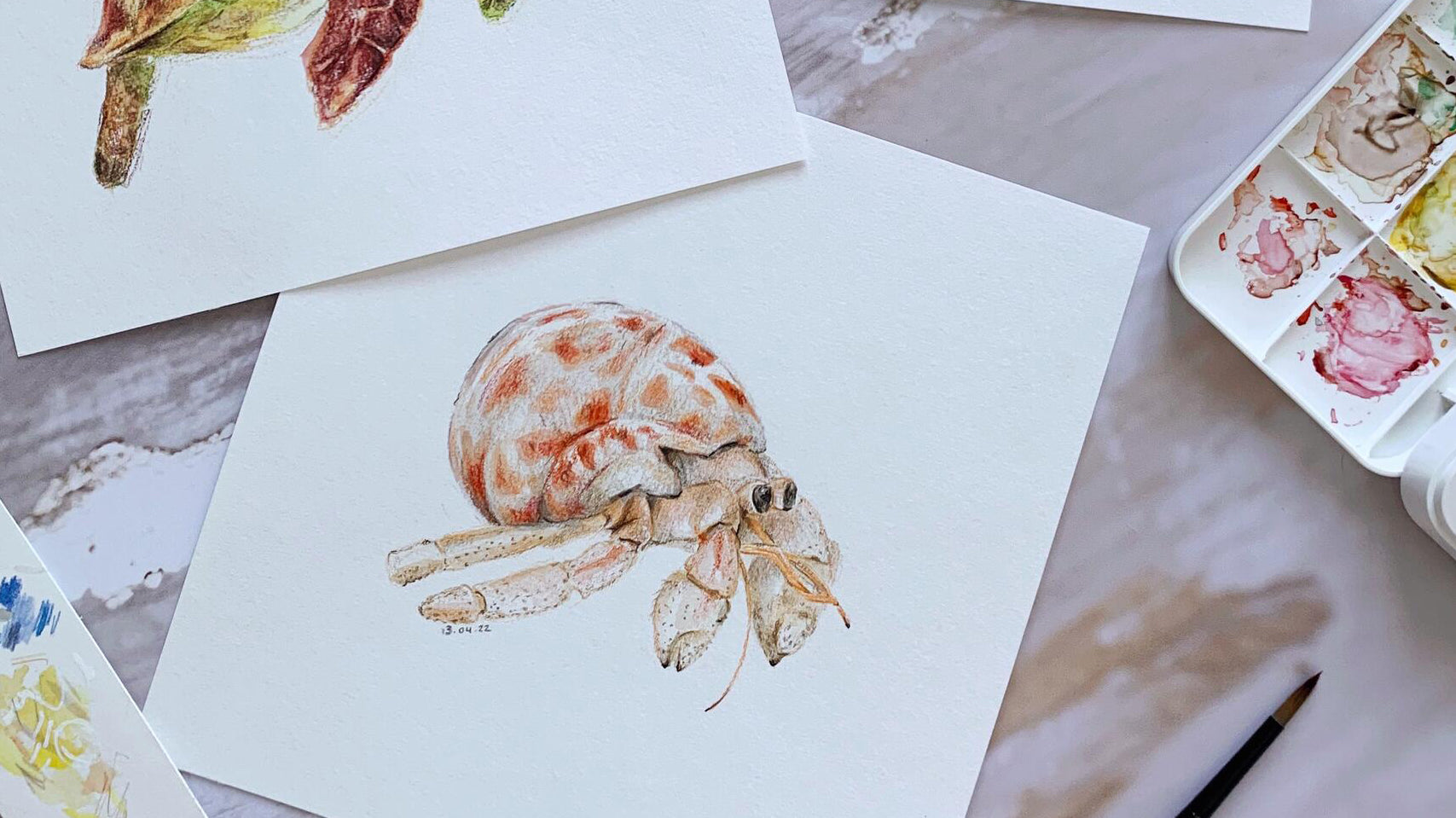Watercolour Sea Creatures