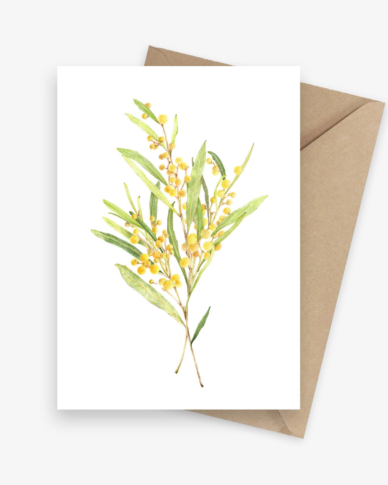 Wattle: Native Australian Botanical Greeting Card