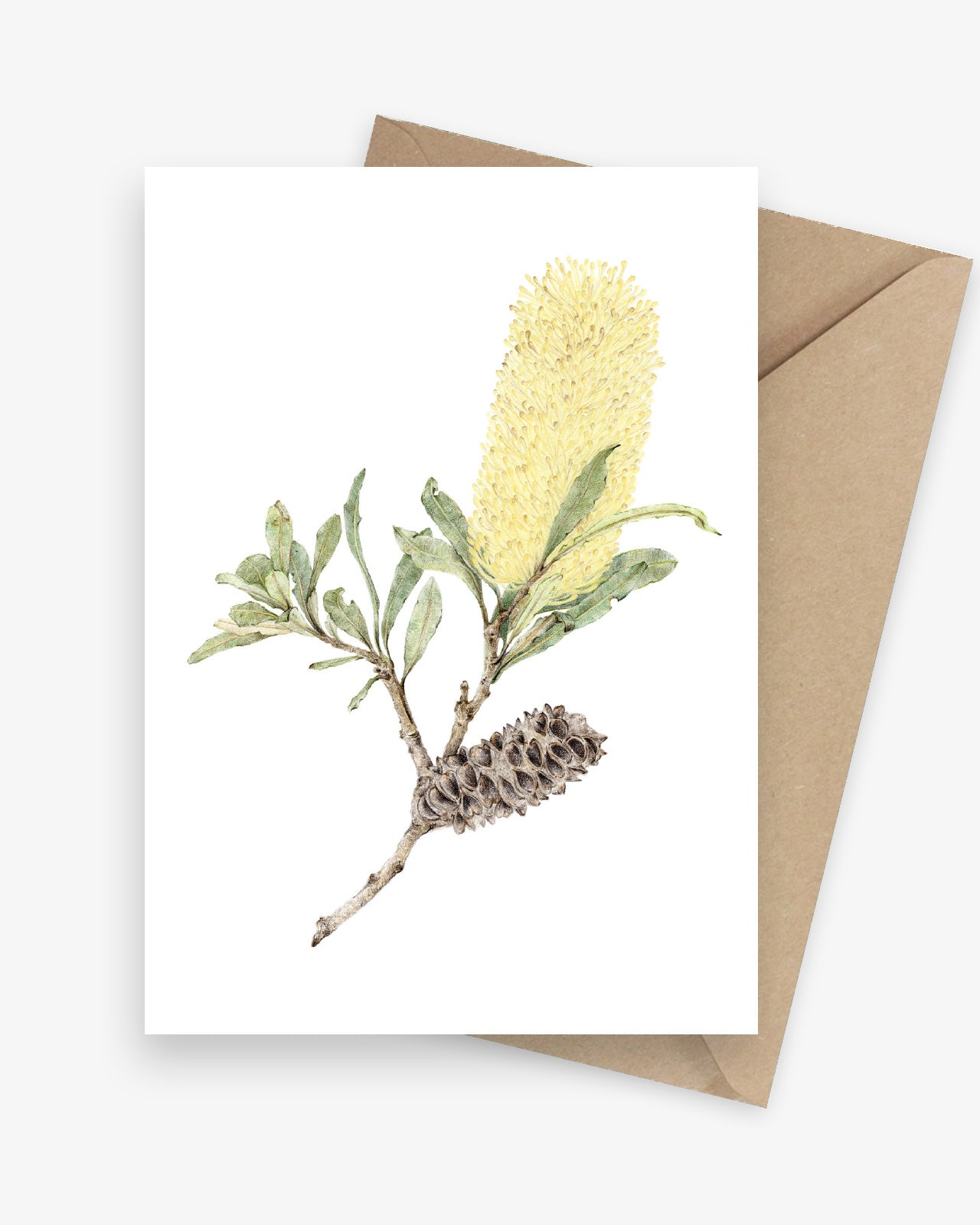 Banksia Native Australian Botanical Greeting Card