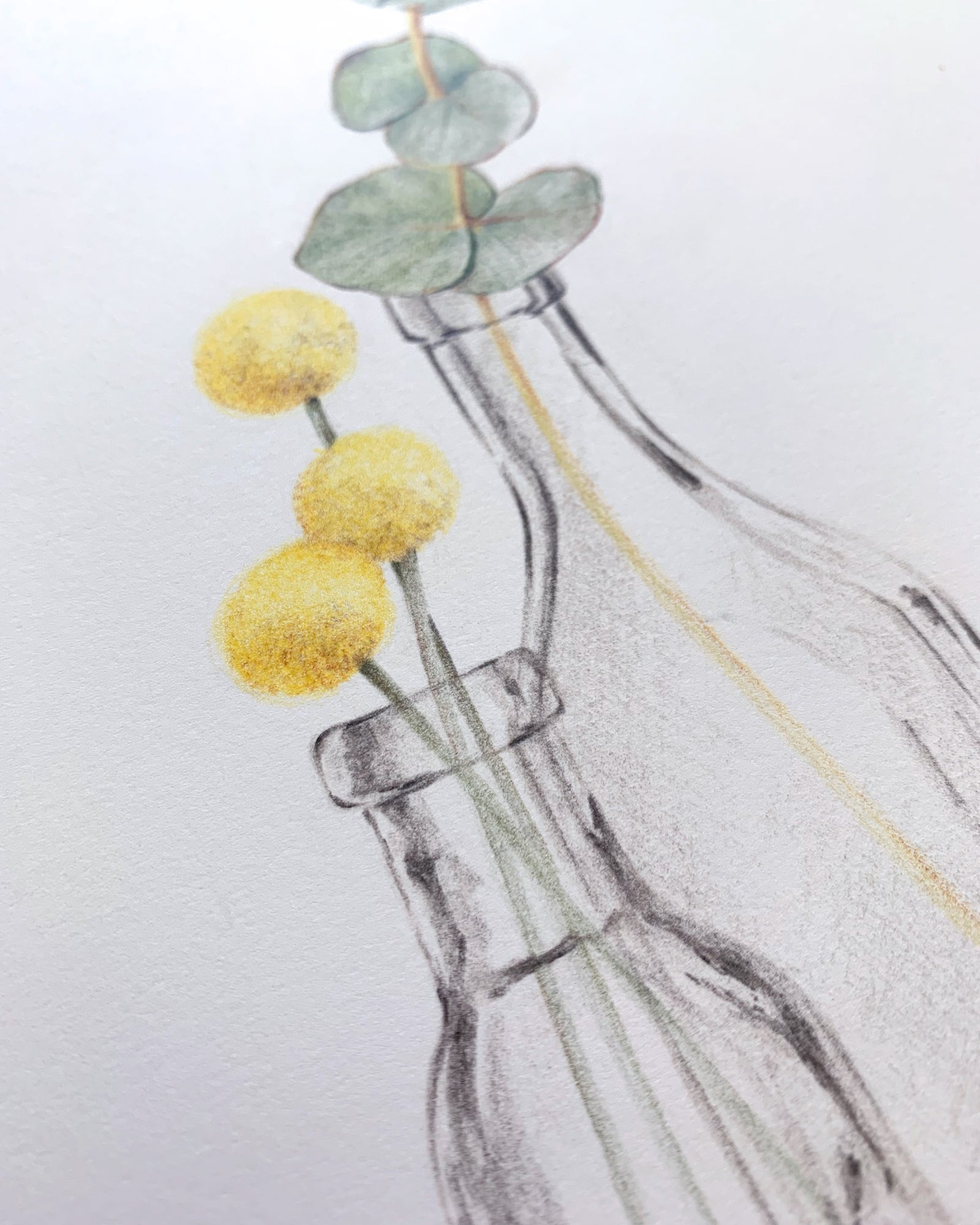 Billy | Botanical Art Close Up