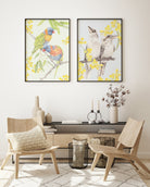 Australian bird art featuring kookaburras and rainbow lorikeets