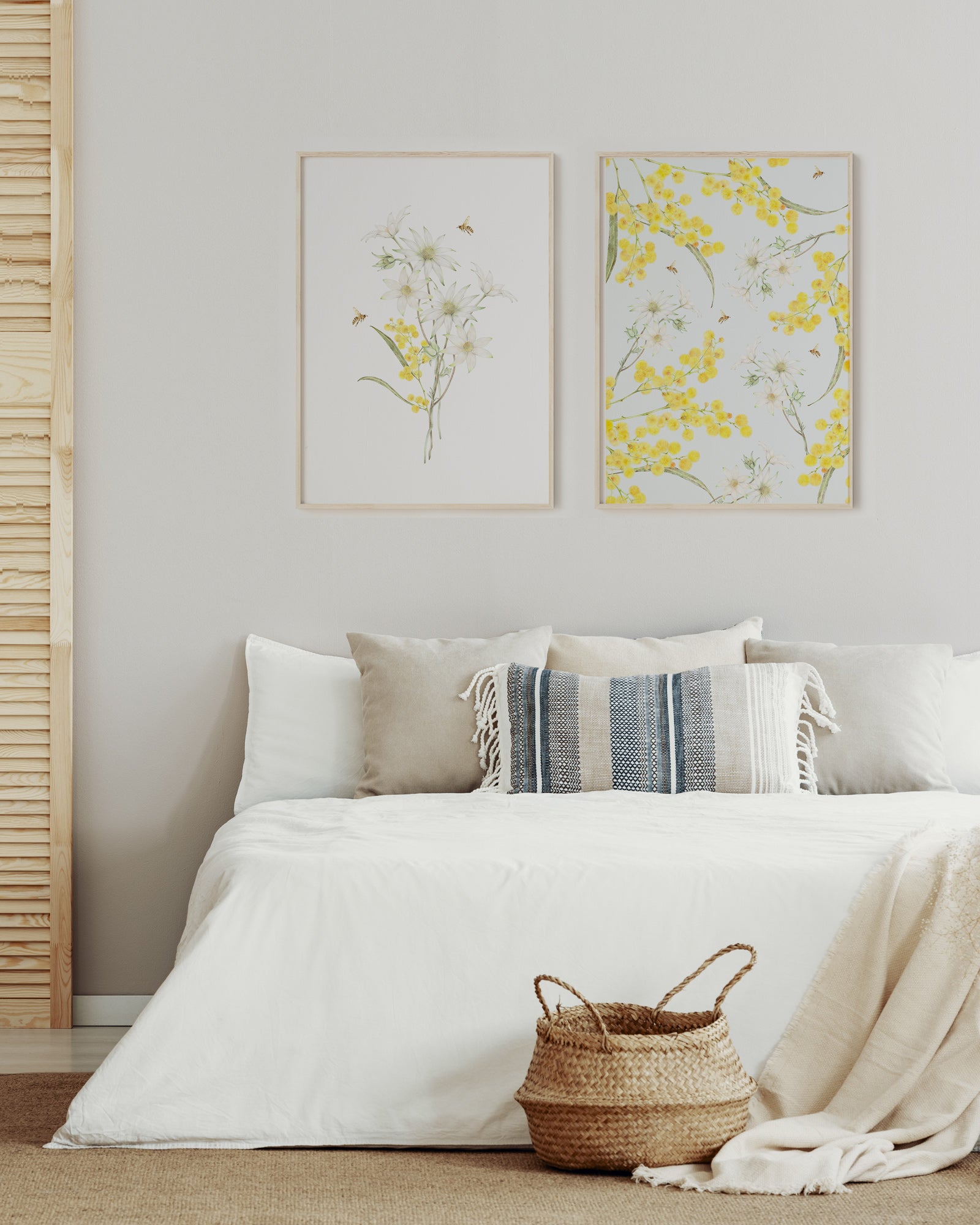 Flannel flower and wattles set of 2 botanical art prints