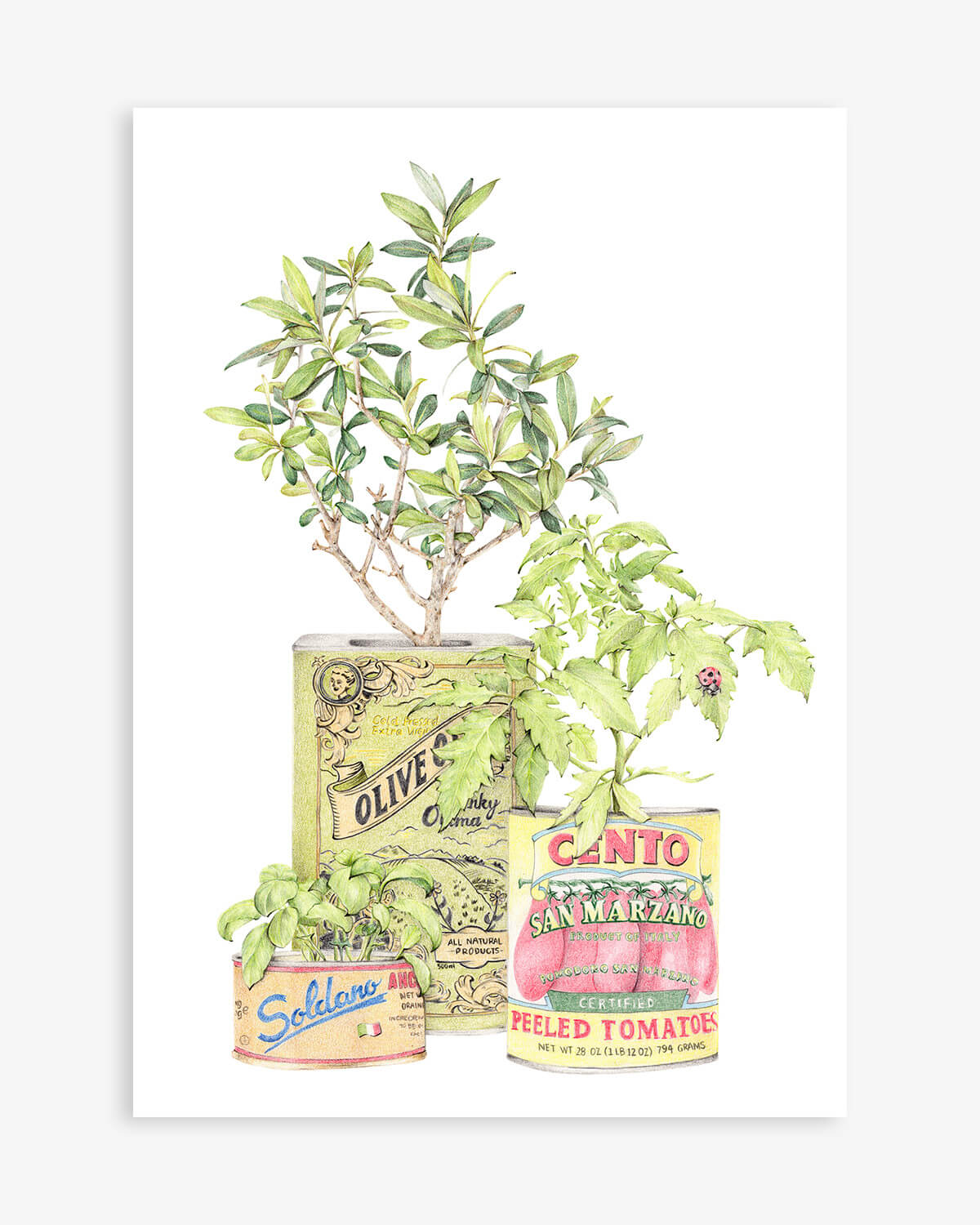 Artistic collection of tins from Nonna Giclee Print