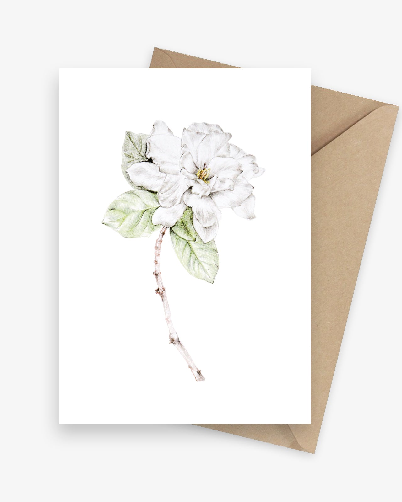 Illustrated botanical greeting card featuring a white gardenia flower.