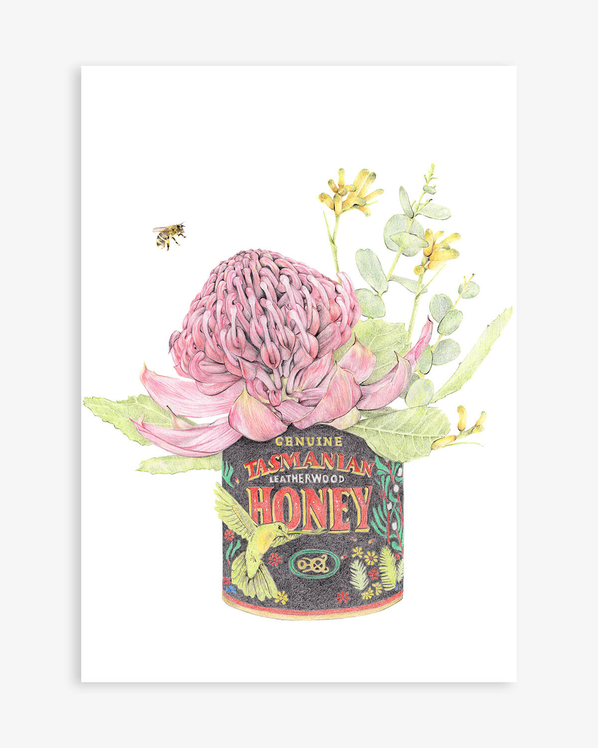 Australian botanical art print featuring Tasmanian honey with Waratah and kangaroo paw