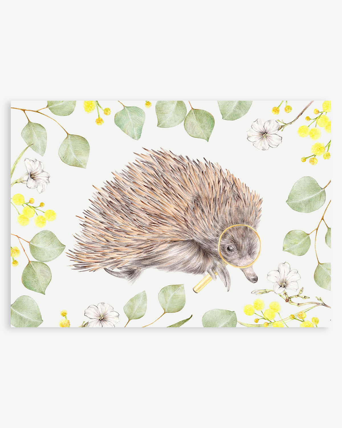 Nursery Wall Art featuring an echidna