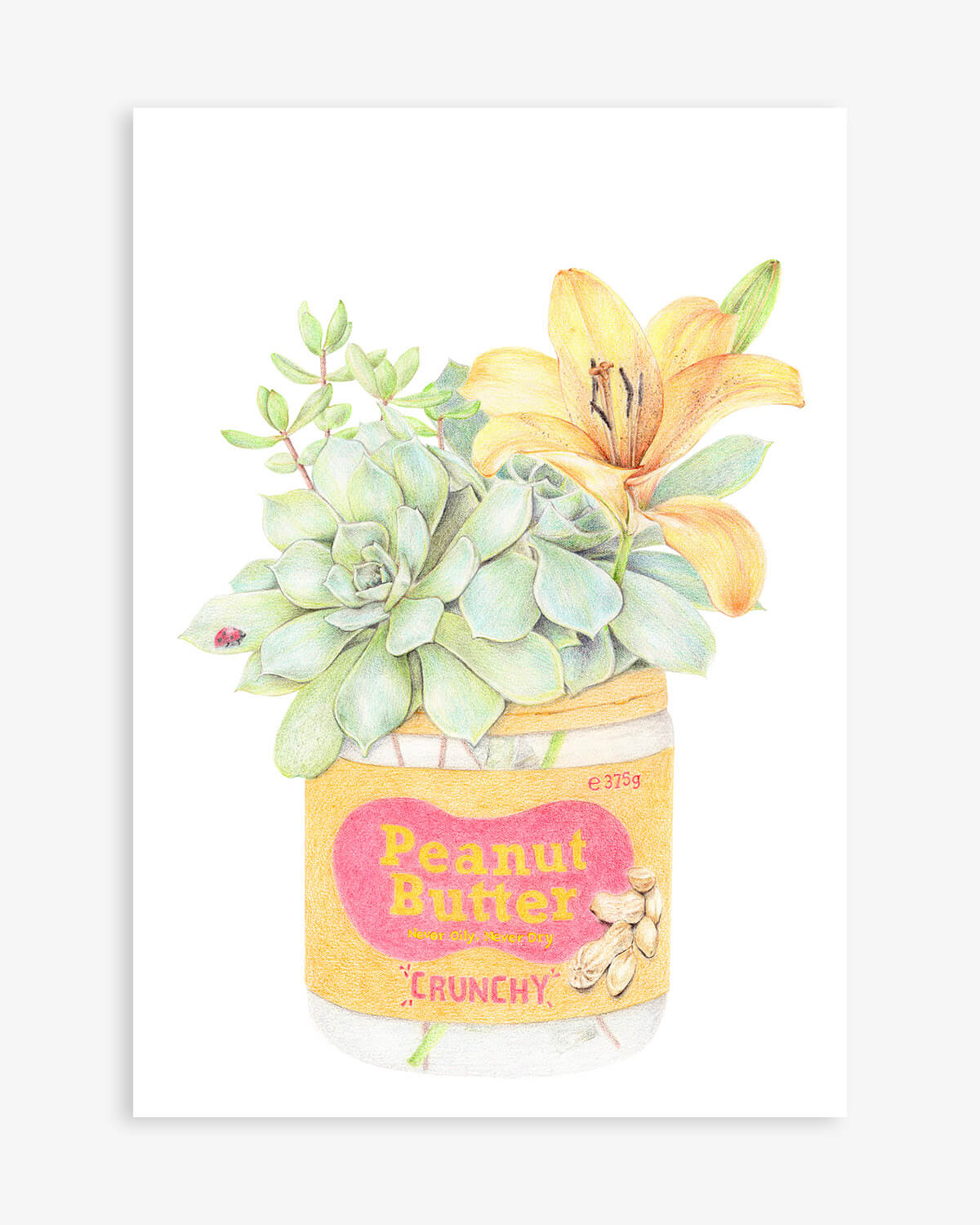 Peanut Butter with Succulent and Flower Art Print