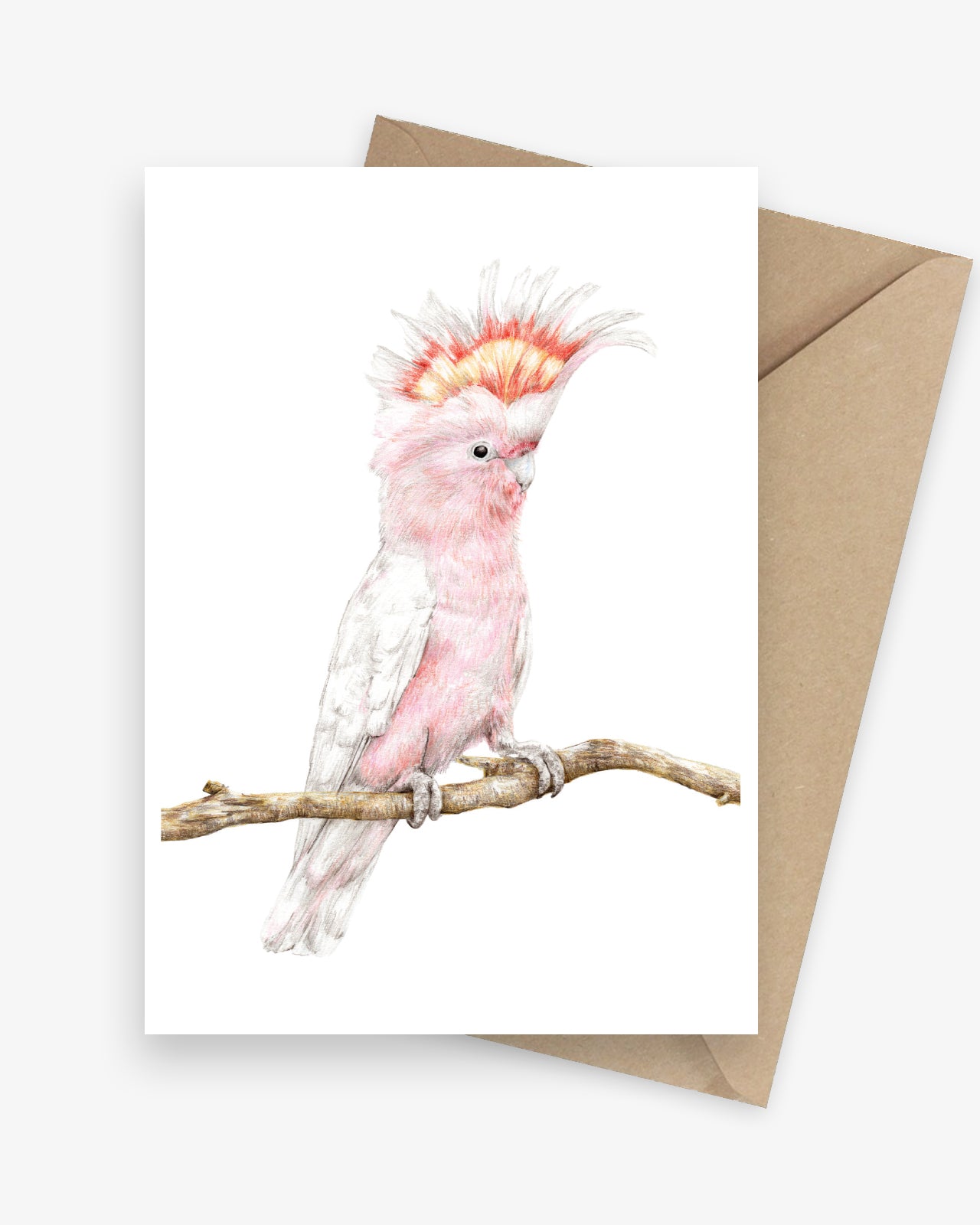 Greeting card featuring an Australian pink cockatoo.