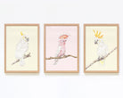 Set of 3 Framed Nursery Wall Art featuring Cockatoos