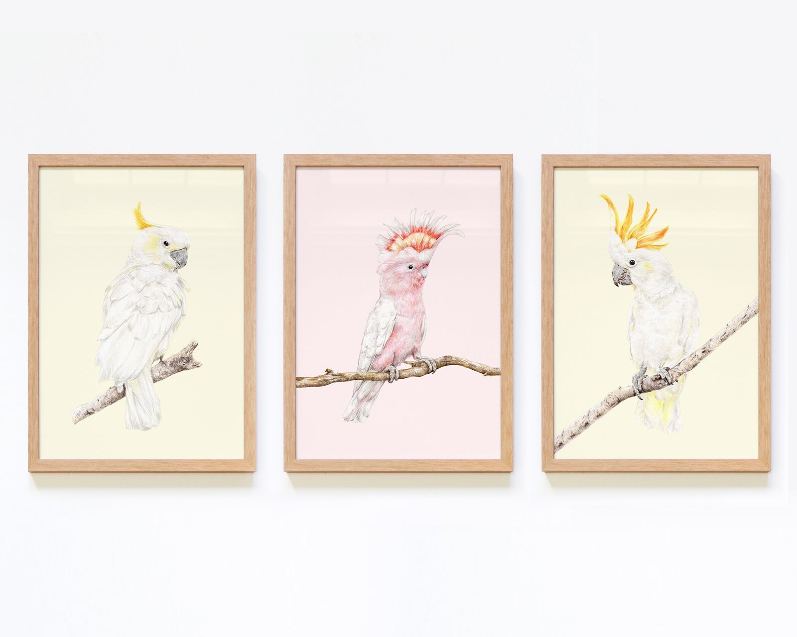 Set of 3 Framed Nursery Wall Art featuring Cockatoos