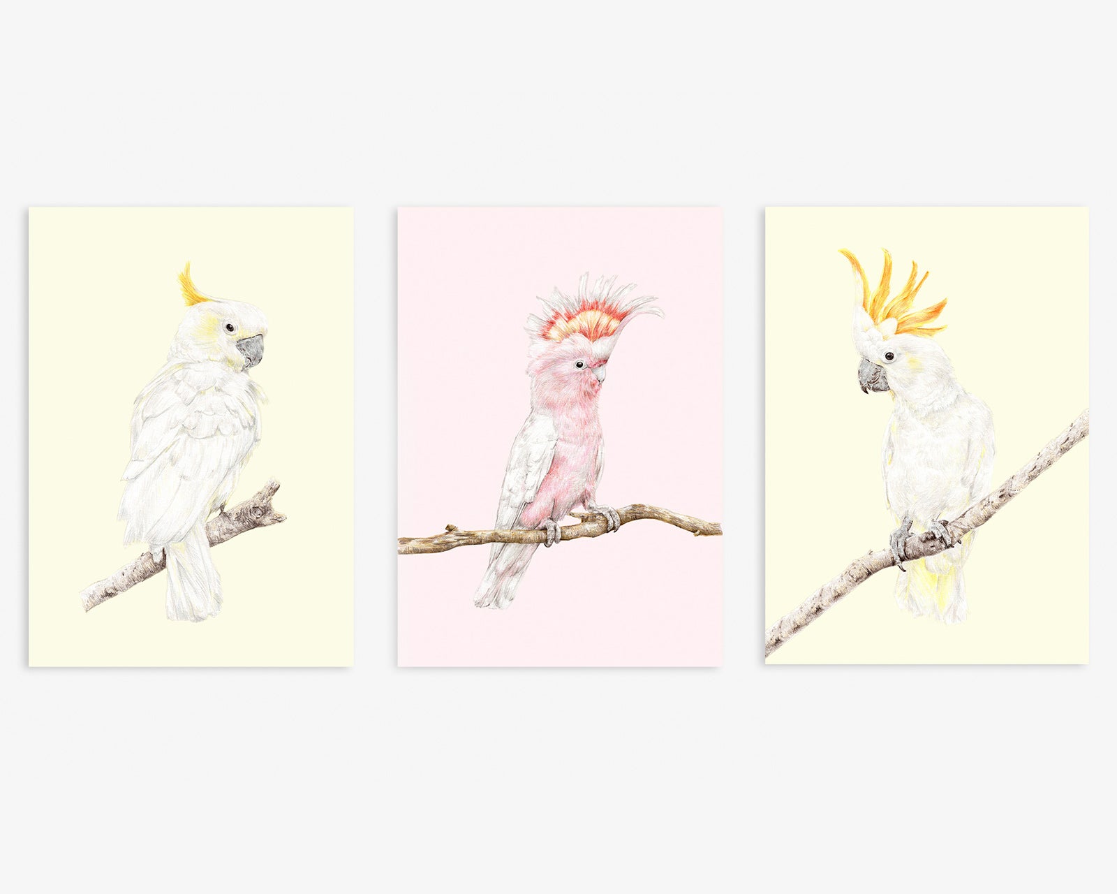 Set of 3 Australian Cockatoos Nursery Wall Art