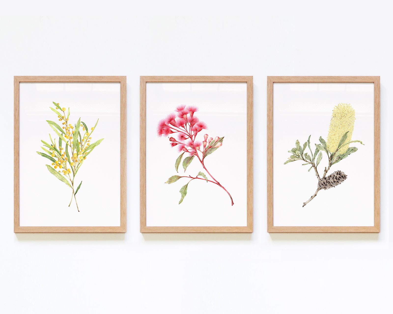 Framed Australian Native Botanicals Art Print Set