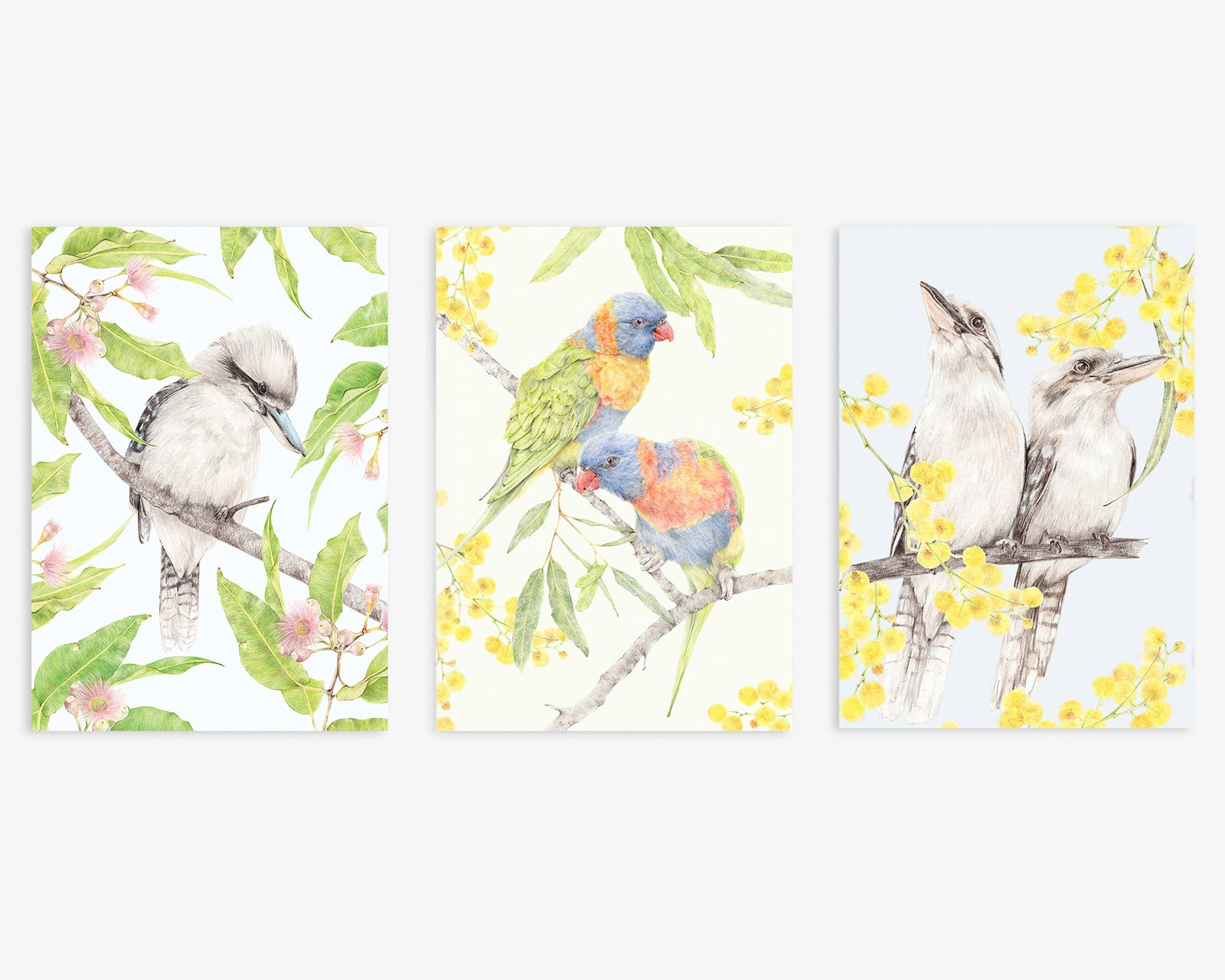 Set of 3 Backyard Natives Australian Bird Art
