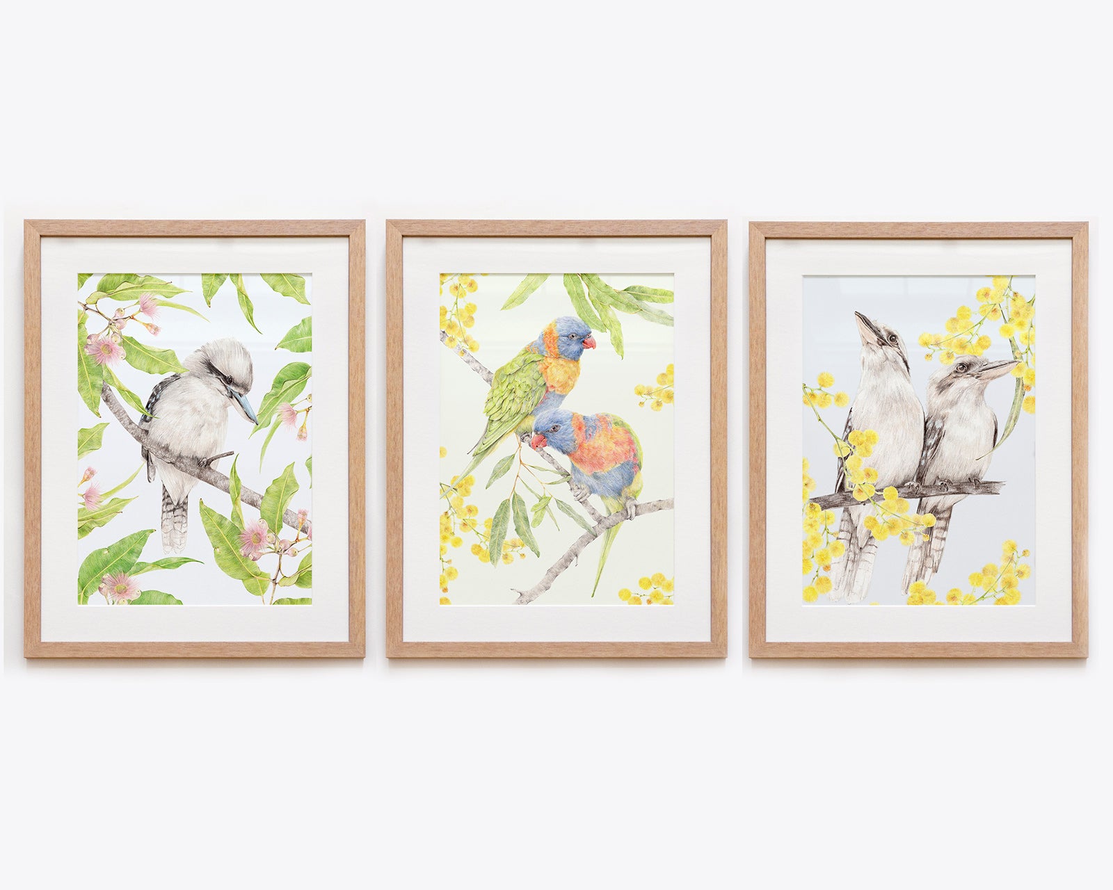 Australian Native Bird Art Print Custom Framed