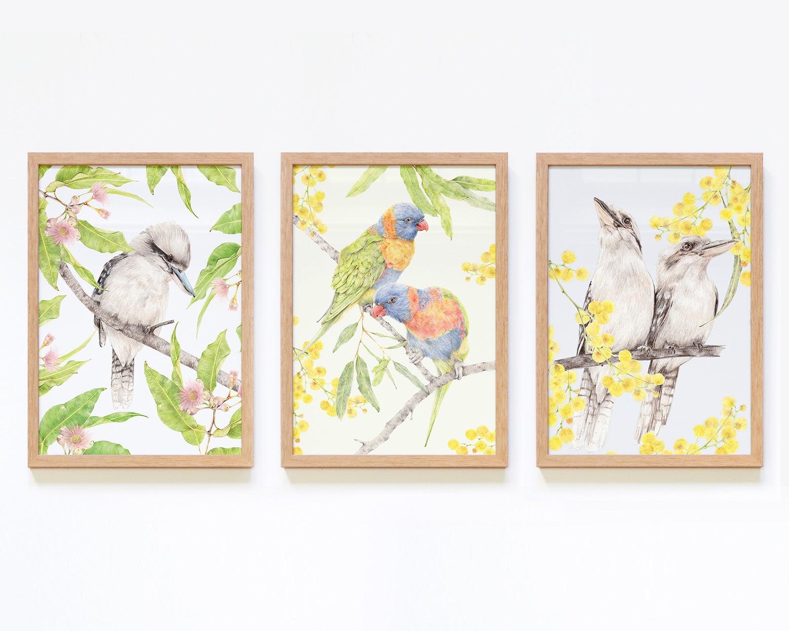 Set of 3 Framed Australian Native Bird Art
