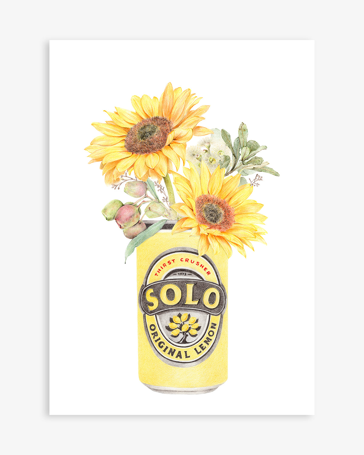 Australian botanical print featuring a Solo can with sunflowers and native flowers