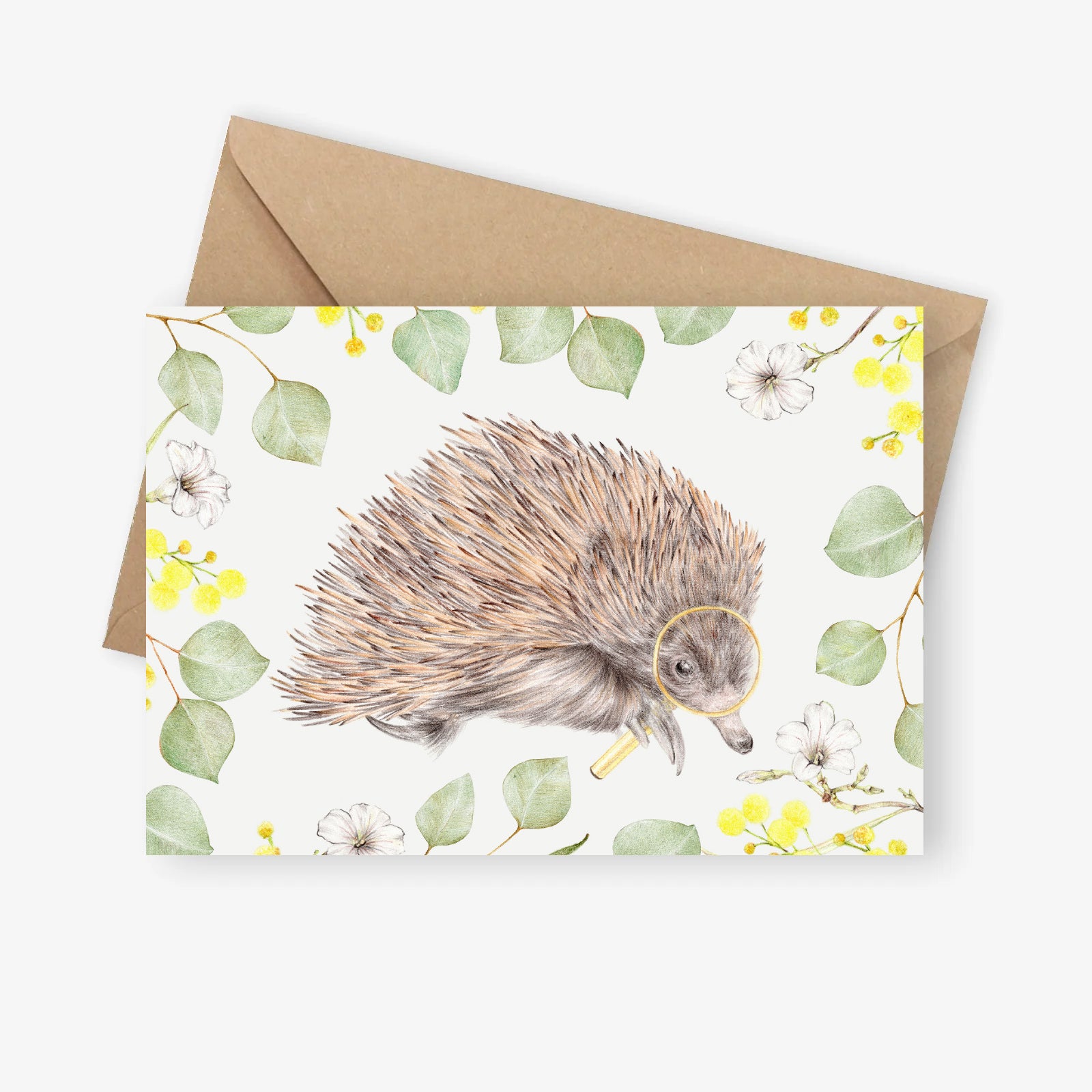 The Curious One-Australian echidna greeting card