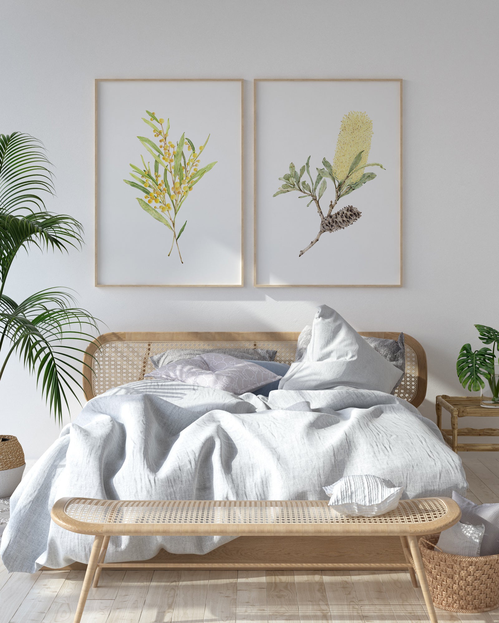 Set of two Wattle and Banksia Australian botanical art print