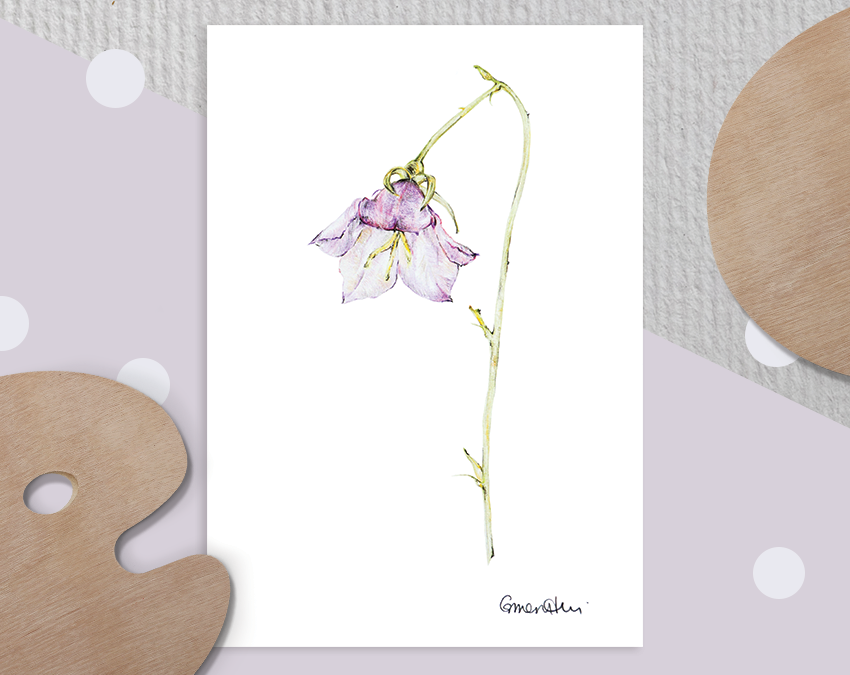 Canterbury Bell