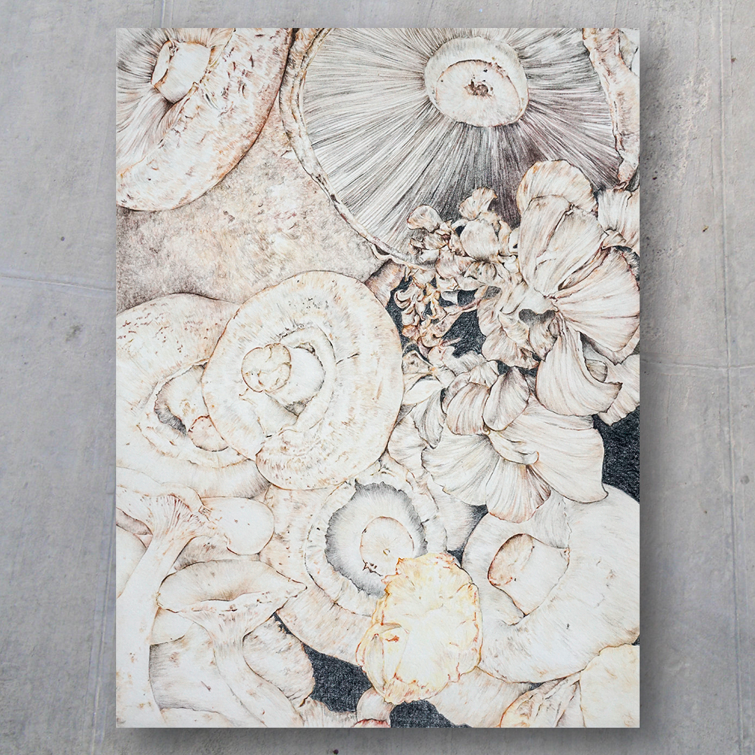 Mushroom
