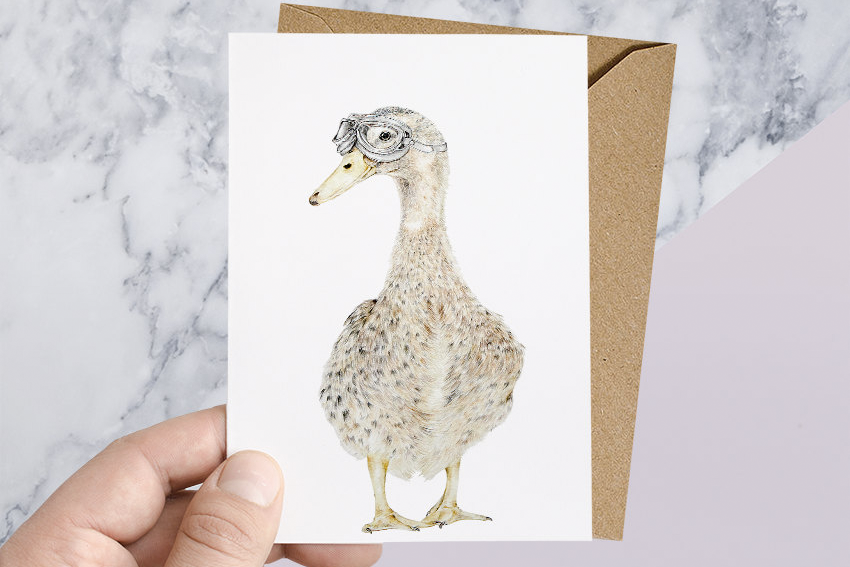 Meet Pilot Duck