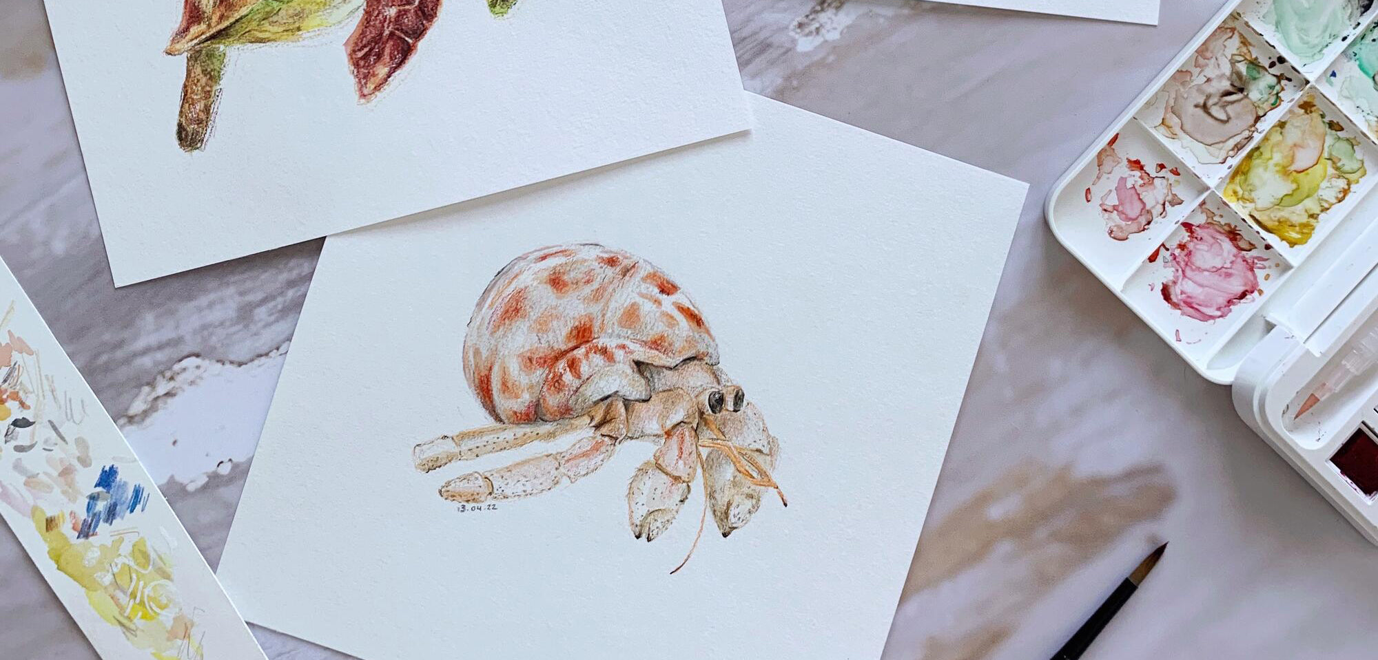 Watercolour Sea Creatures