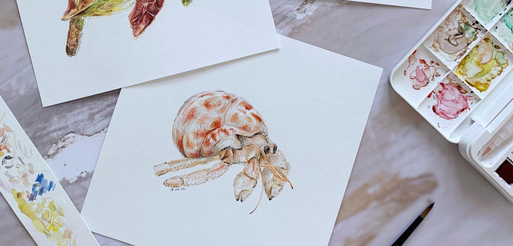 Watercolour Sea Creatures