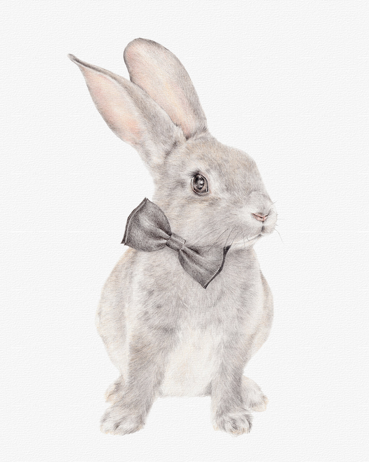 Benjamin Bunny-Original rabbit drawing-Carmen Hui