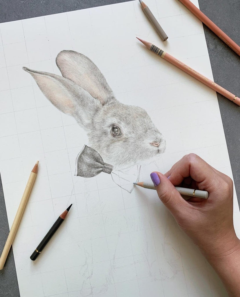 Progress drawing of Benjamin Bunny by Carmen Hui
