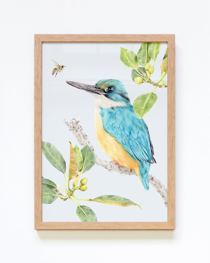 Framed Sacred Kingfisher Australian art