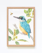 Framed Sacred Kingfisher Art Print