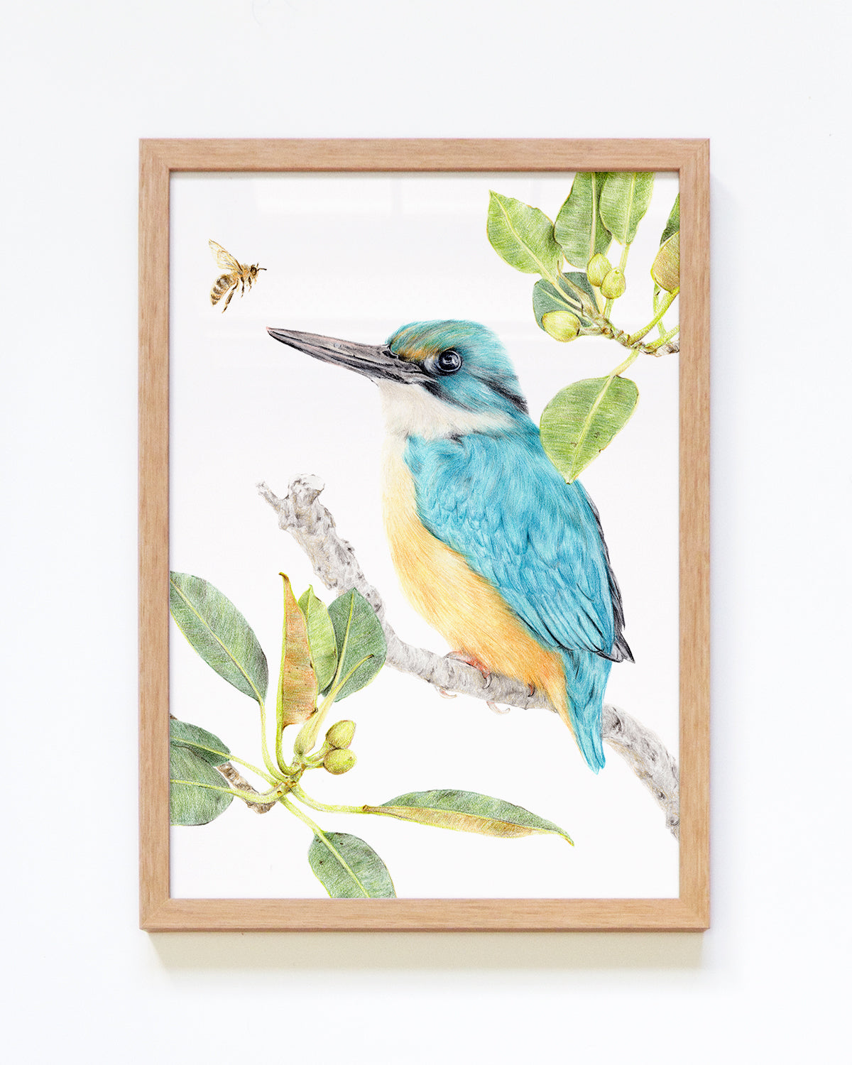 Framed Sacred Kingfisher Art Print