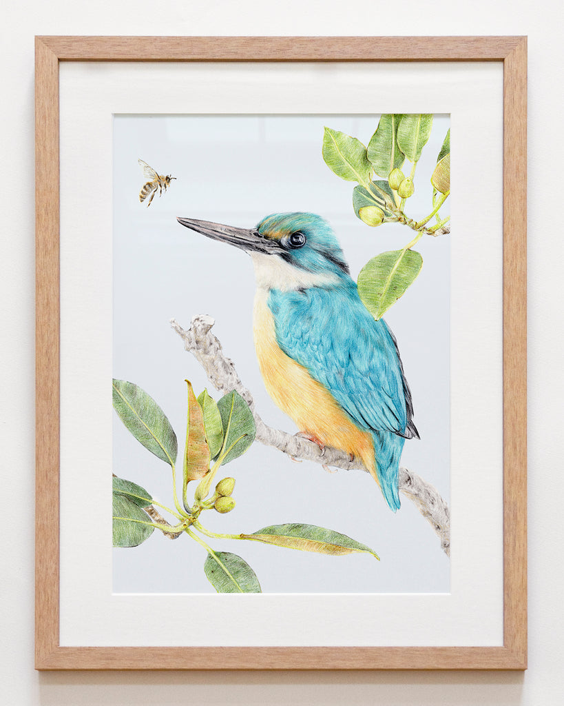 Framed Sacred Kingfisher with mat board - coastal chic