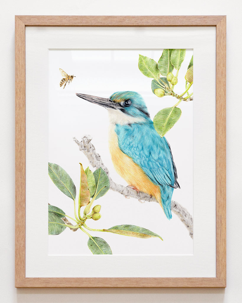 Sacred Kingfisher Australian art framed with mat board