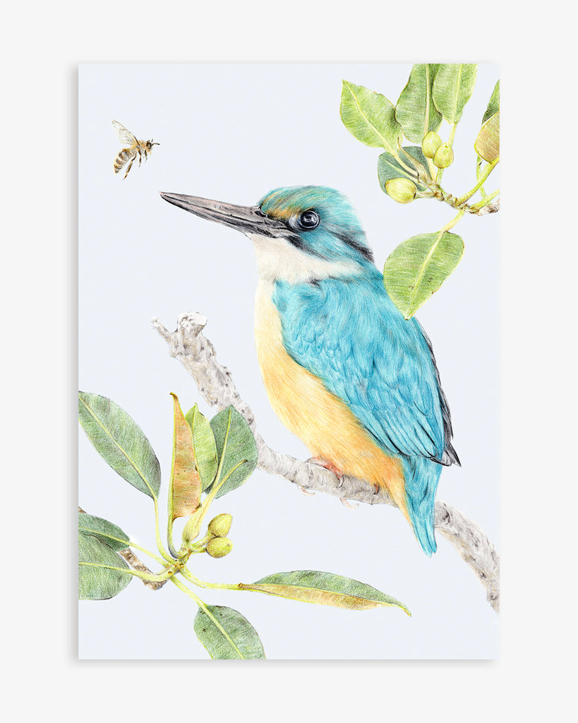 Sacred Kingfisher Australian bird art 