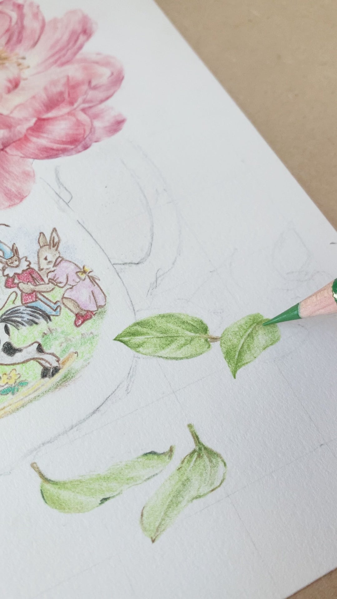 Progress Video - botanical drawing