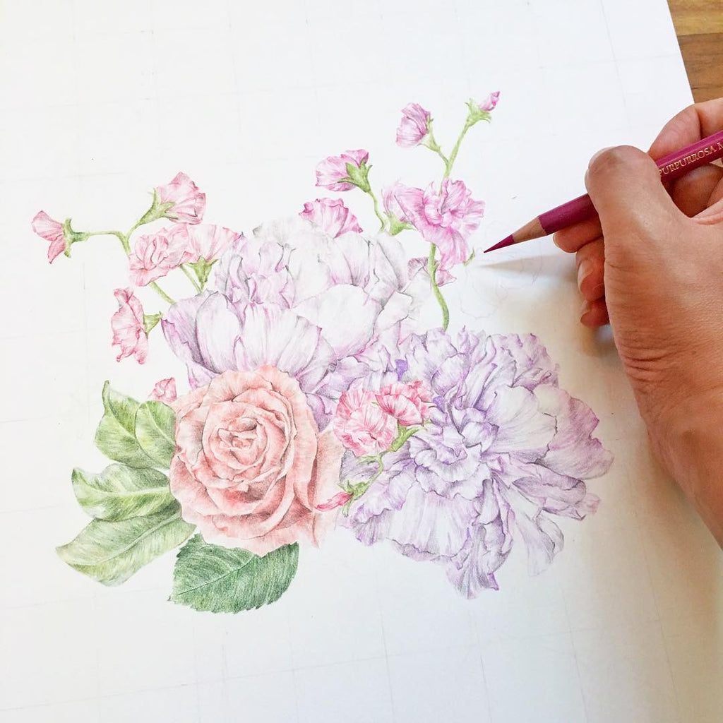 Progress photo of a botanical pencil drawing by Carmen Hui
