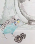 Close up of original pencil drawing of a budgie