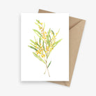 Wattle: Native Australian Botanical Greeting Card
