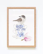 Australian Butcher bird on vintage tea cups fine art print