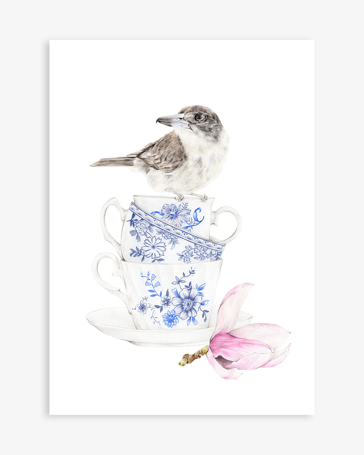 Butcher bird on vintage tea cups with a magnolia