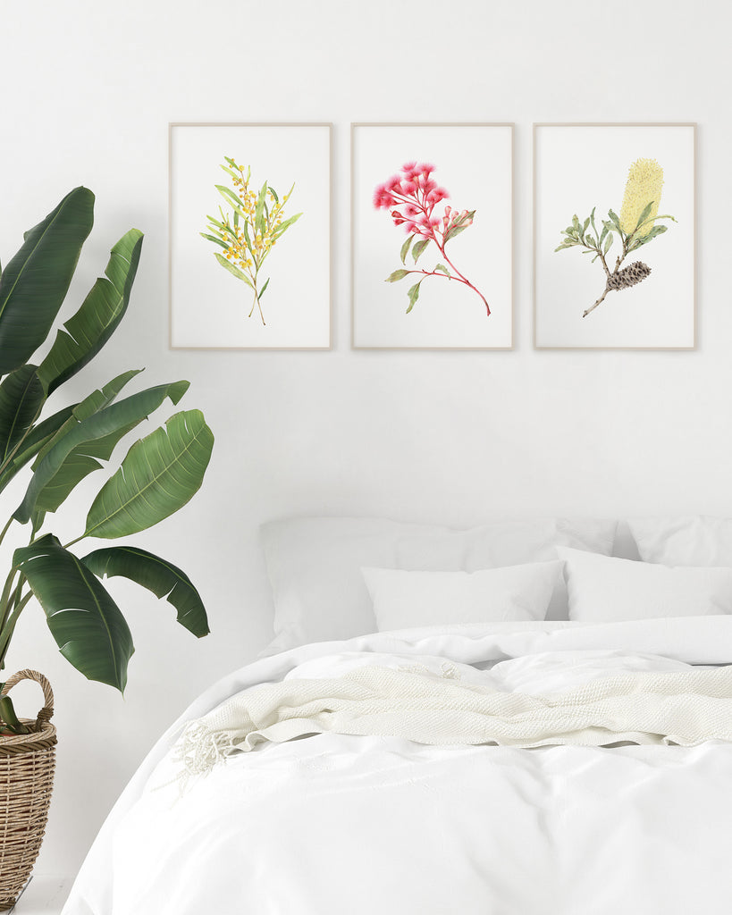 Australian Native Botanicals Set of 3 Wall Art for Bedroom
