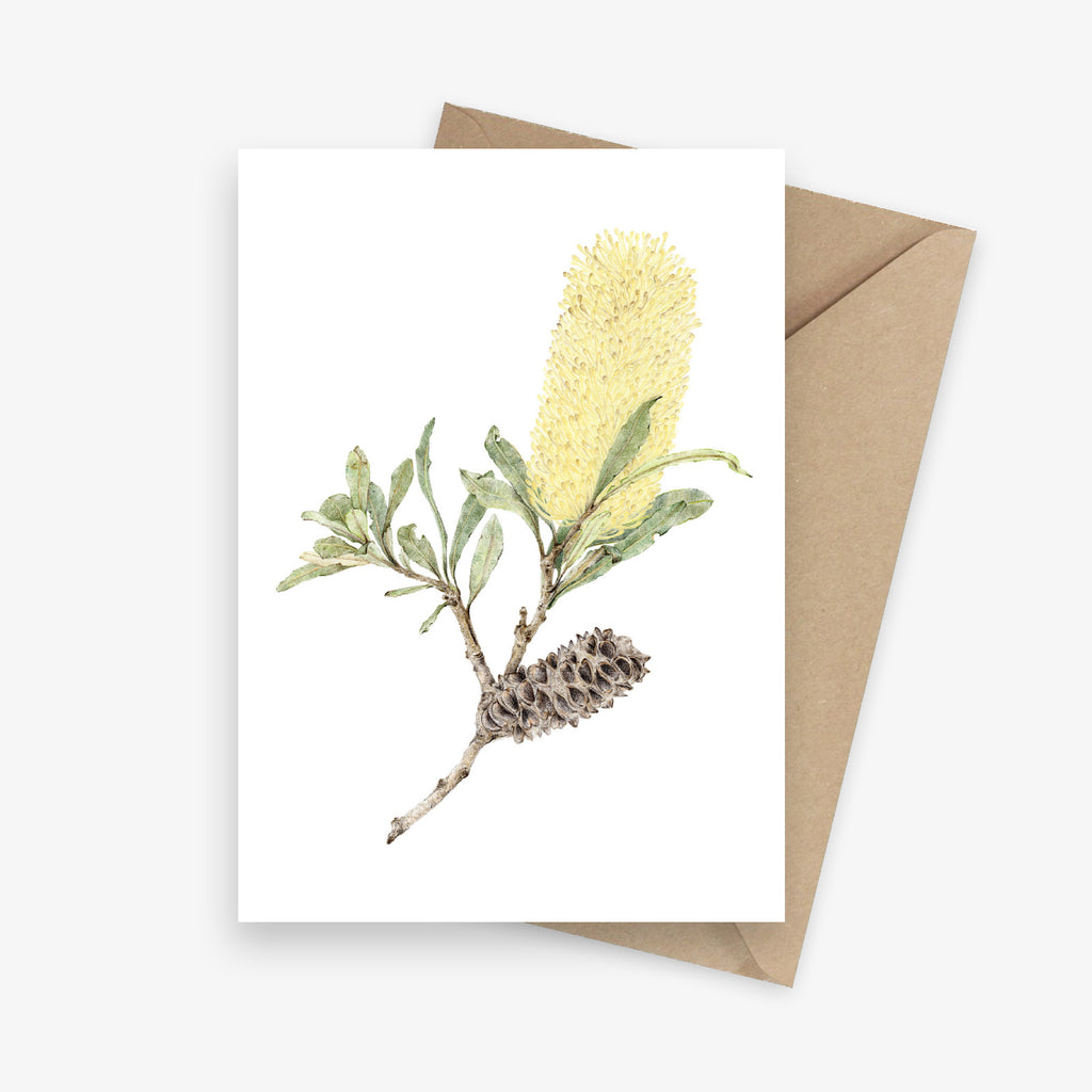 Banksia Native Australian Botanical Greeting Card