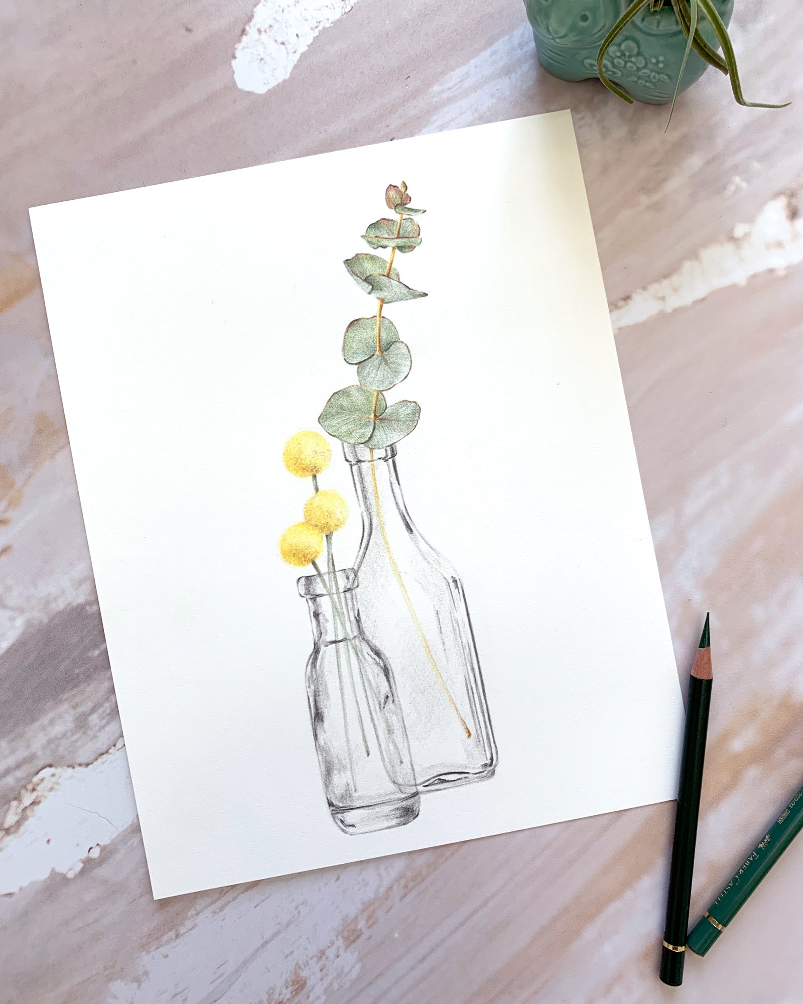 Billy | Botanical Pencil Drawing
