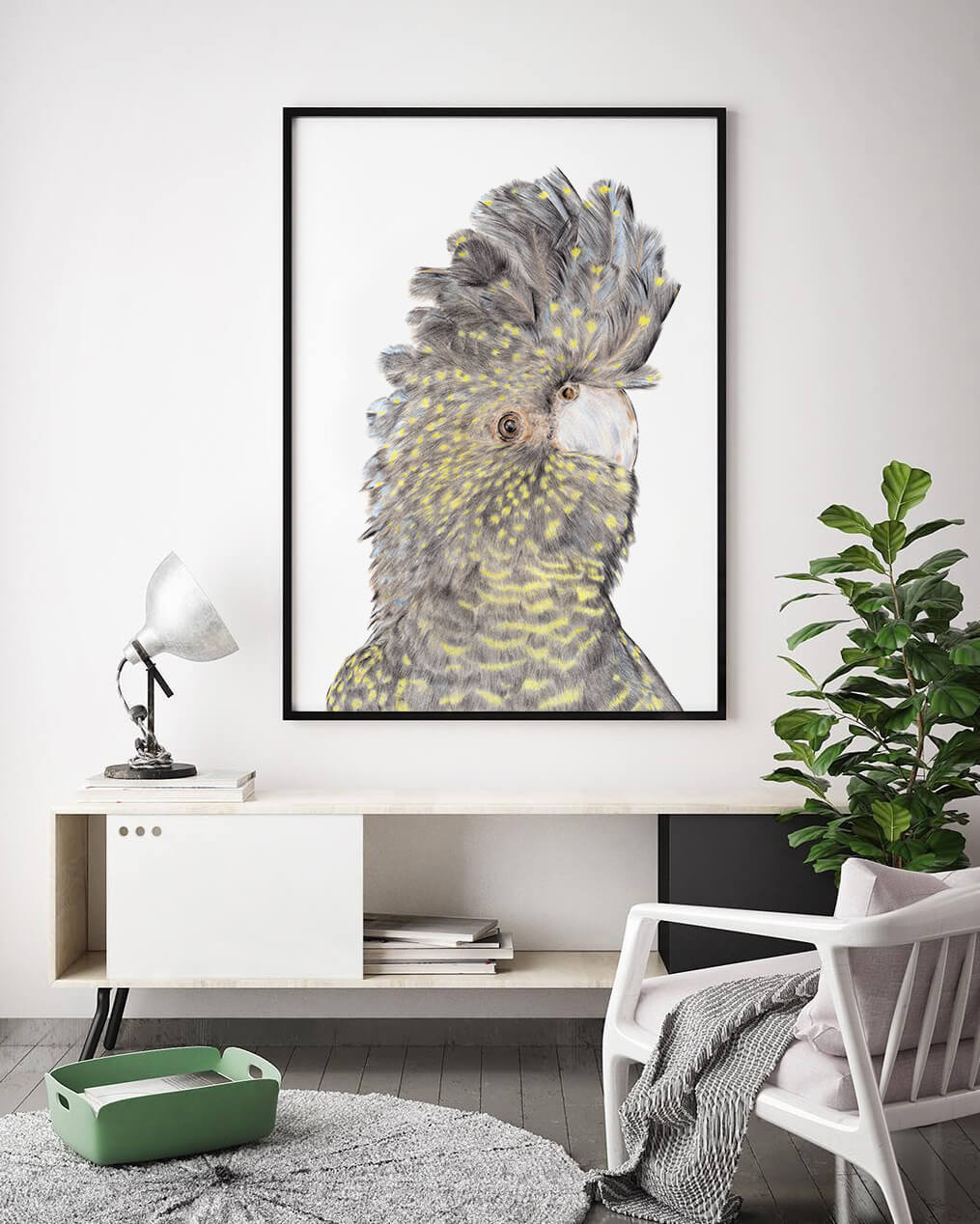 Framed art of iconic Australian Black Birds