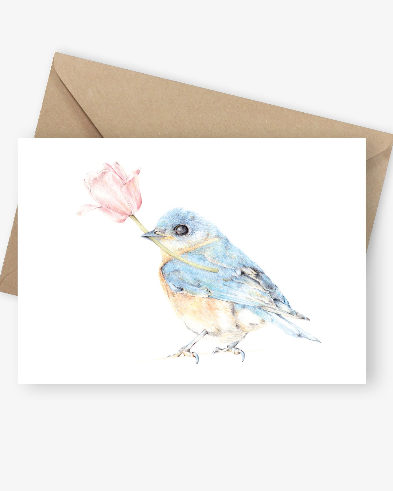 Greeting card featuring bluebird holding a pink magnolia flower.