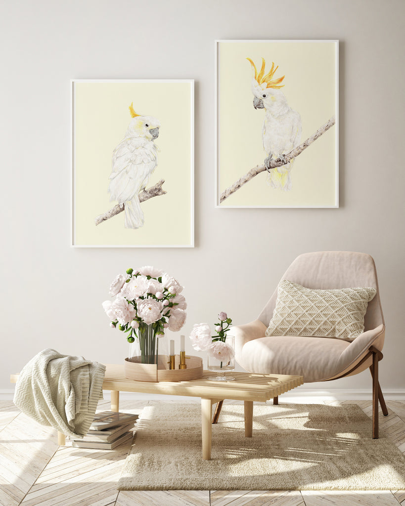 Interior wall art featuring Australian native birds